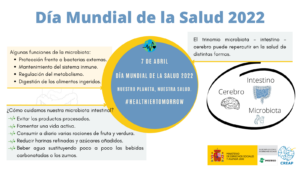 Cartel Día Mundial de la Salud 2022