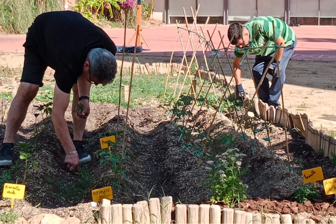 Taller de Horticultura