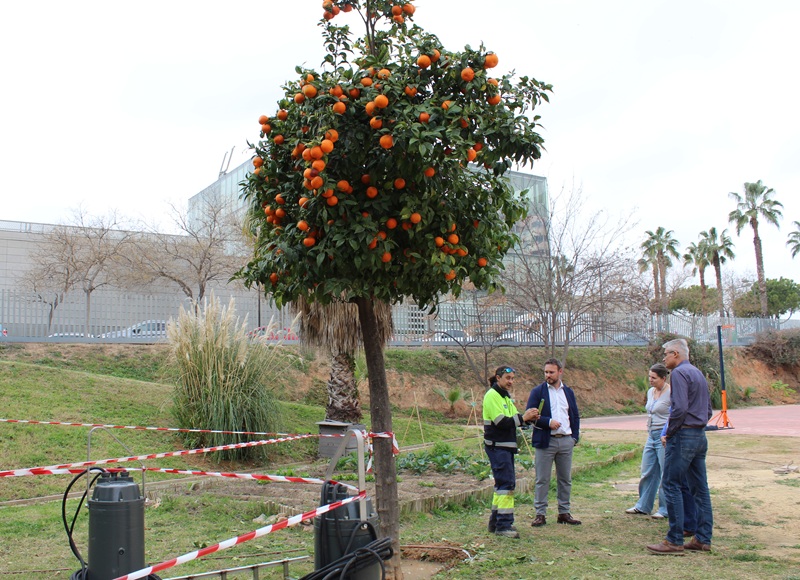 En el jardín del centro.