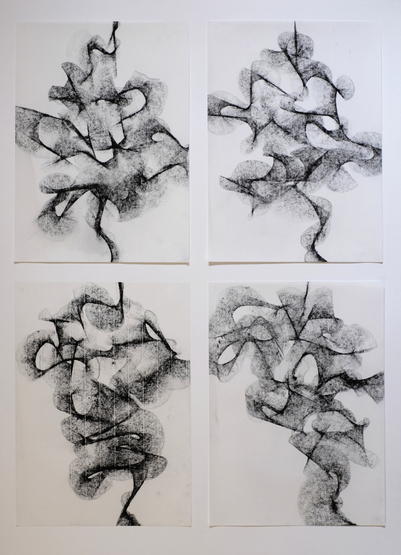 Digestión. Beatriz Mon.