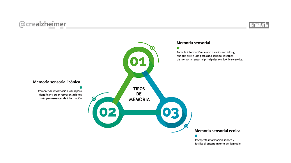 Infografía memoria sensorial