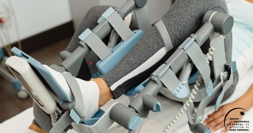 Imagen de la portada.