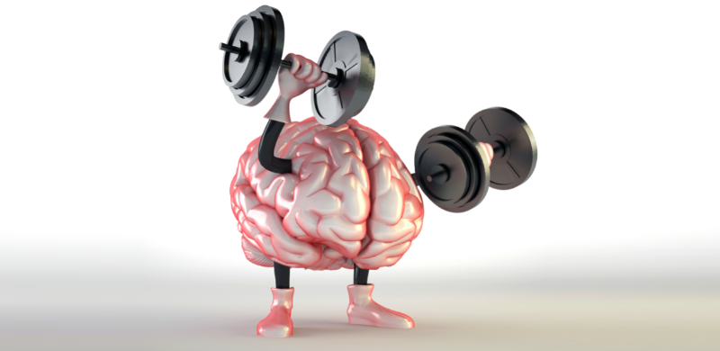 Intervención cognitiva: diversidad de necesidades, diversidad de productos.