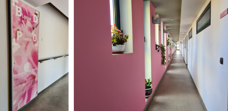7 y 8. Viviendas colaborativas Trabensol. Uso del color e imágenes en pasillos para crear referencias y facilitar la orientación a todas las personas.