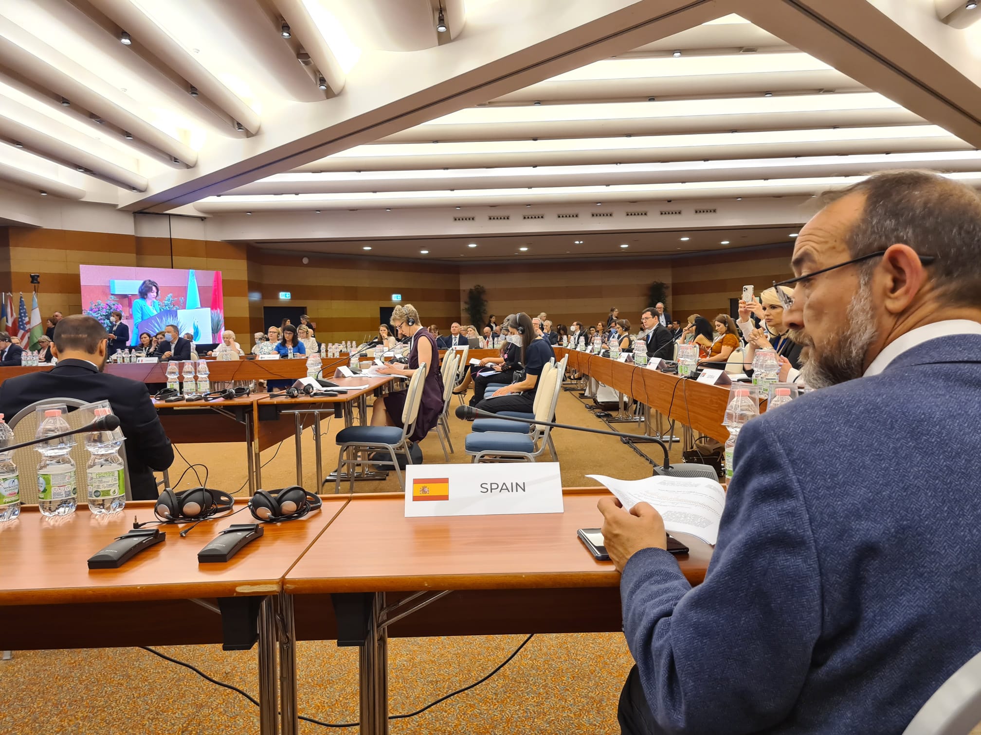 El director general del Imserso en la conferencia de UNECE