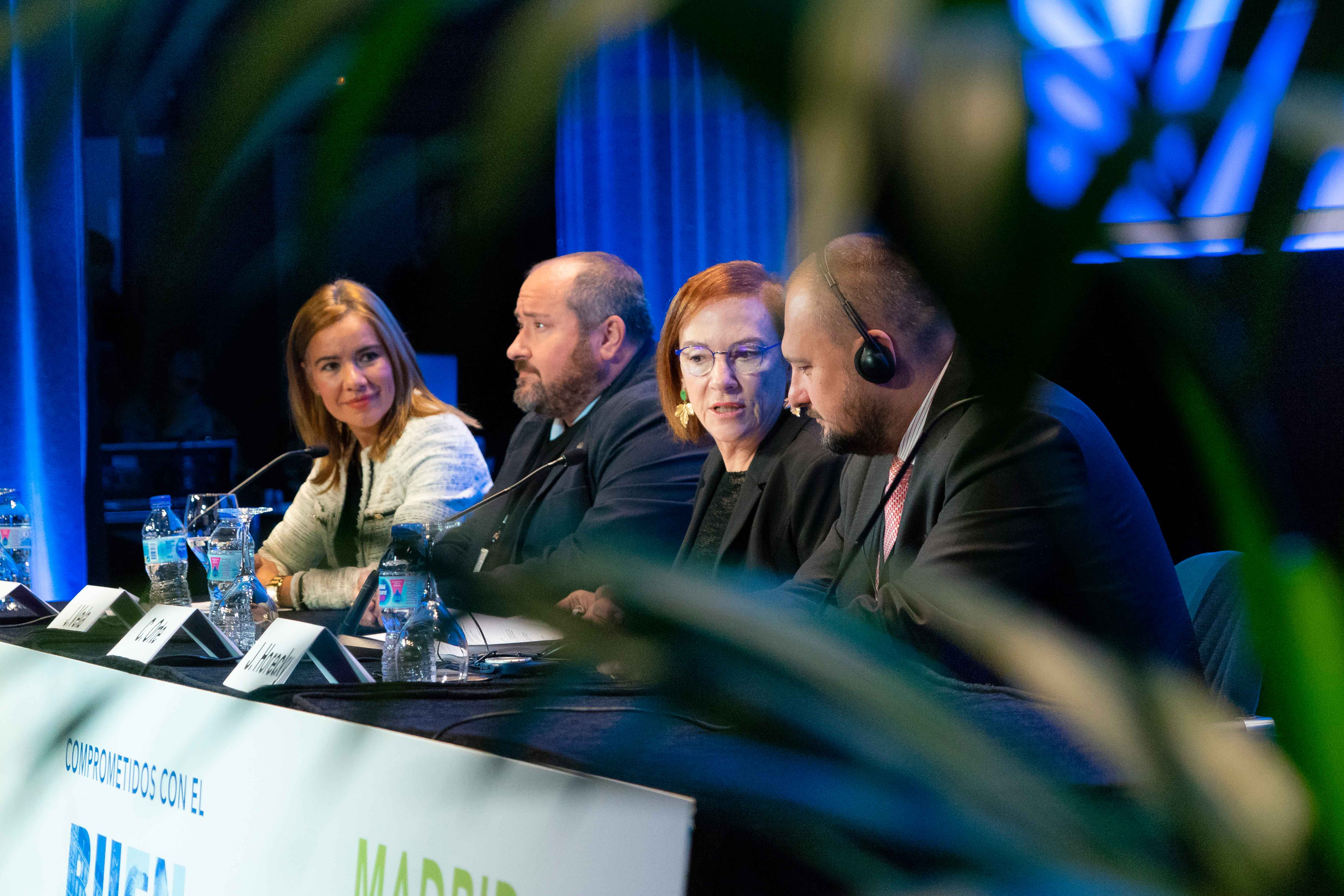 Mesa inaugural: Dª Miriam Rabaneda Gudiel, D. Juan Ignacio Vela Caudevilla, Dª Carmen Orte Socias y D. Jiri Horecky