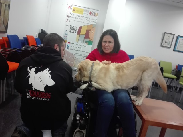 Imagen de una sesión de terapia con perros