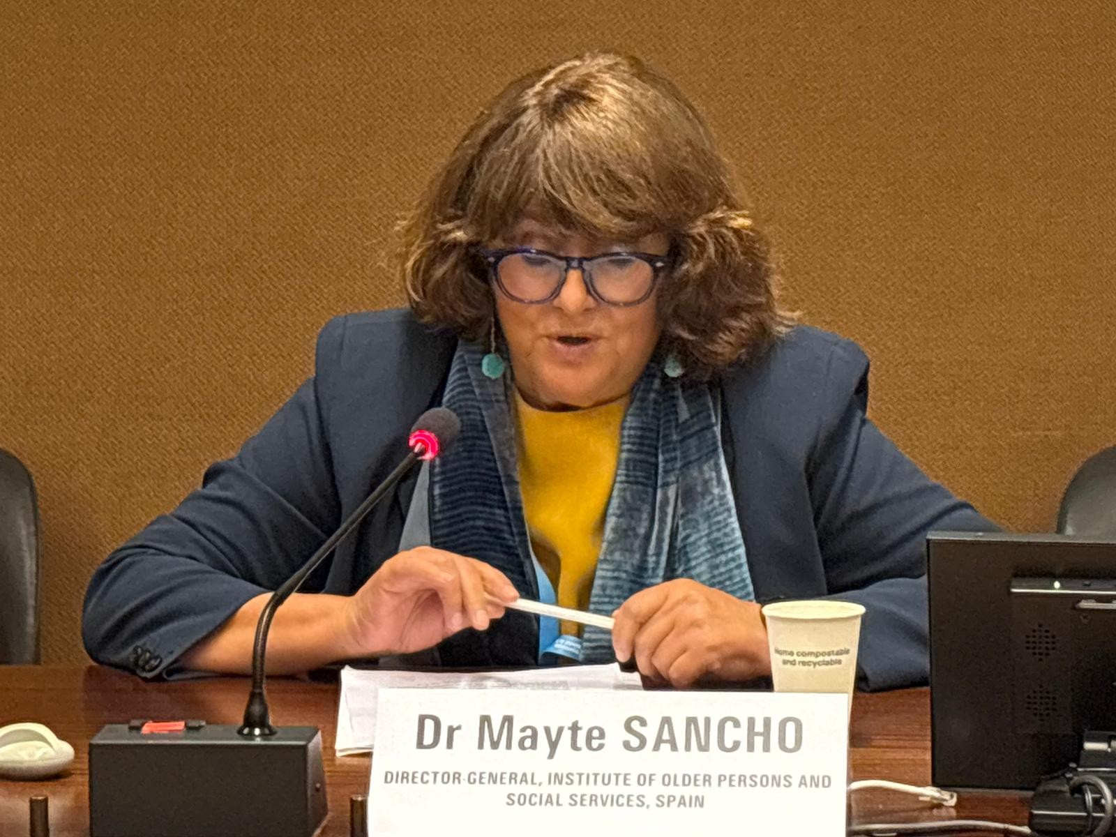 La directora general del Imserso, Mayte Sancho, durante su intervención en la Asamblea Mundial de la Salud, el principal encuentro anual de la Organización Mundial de la Salud (OMS).