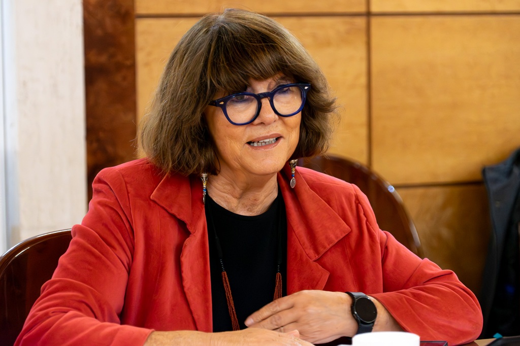 Mayte Sancho, directora general del Imserso, durante la reunión del Consejo.