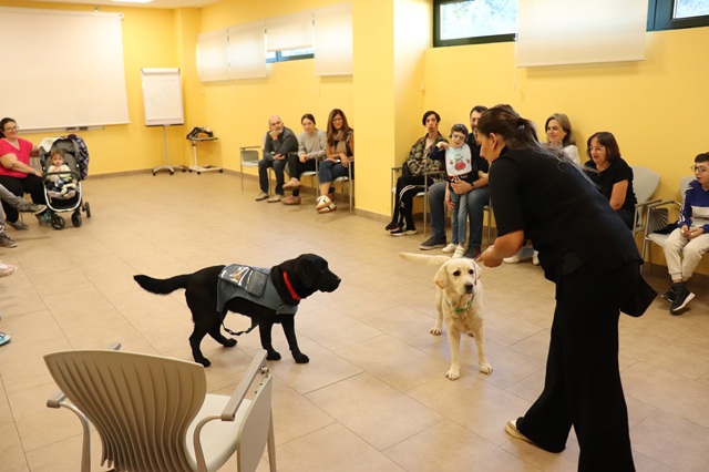 Familias en el taller de terapia asistida con perros.