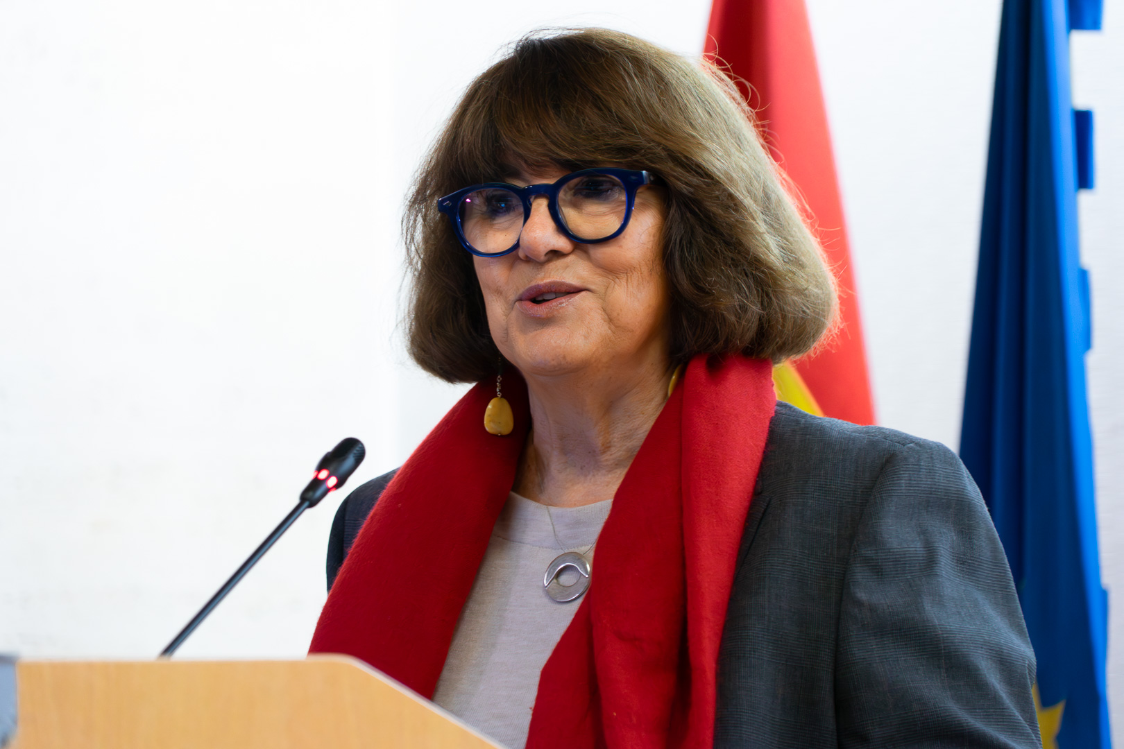 María Teresa Sancho Castiello, directora general del Imserso, durante la rueda de prensa.
